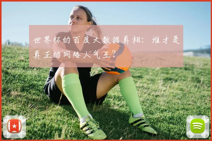世界杯的百度大数据真相:谁才是真正的网络人气王?