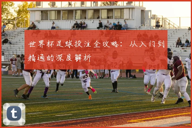 世界杯足球投注全攻略：从入门到精通的深度解析
