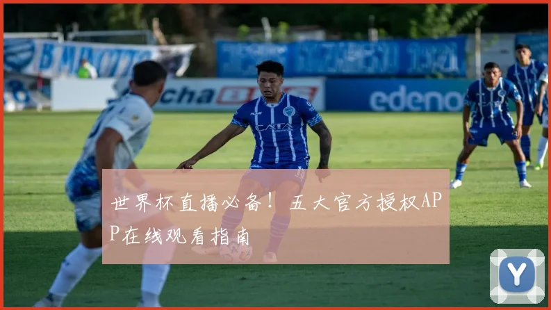 世界杯直播必备!五大官方授权APP在线观看指南